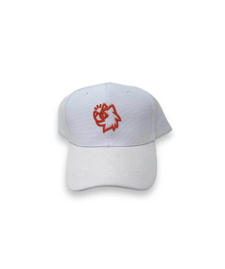 Gorra con logotipo envíosperros con broche velcro