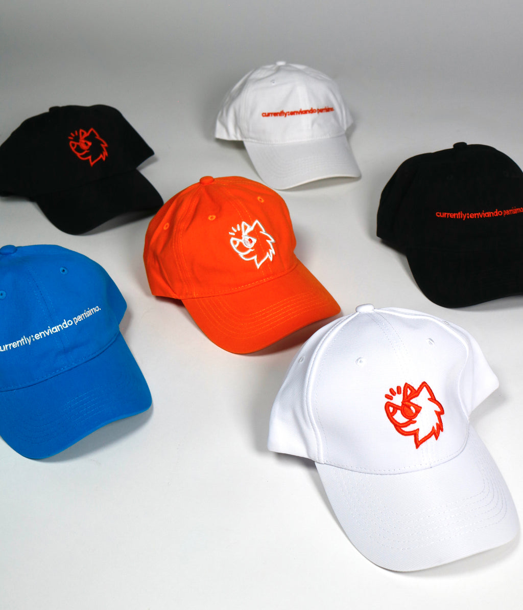 Gorra con logotipo envíosperros con broche velcro