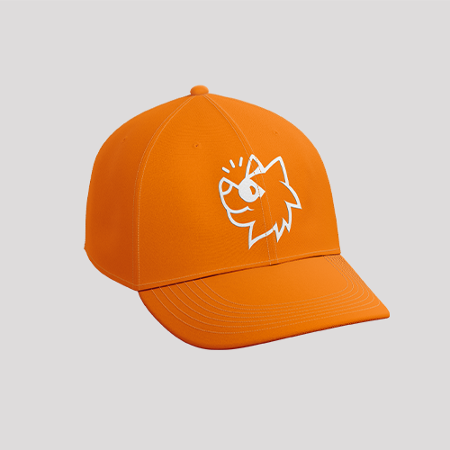 Gorra con logotipo envíosperros con broche velcro